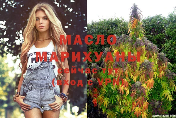 дмт Сатка