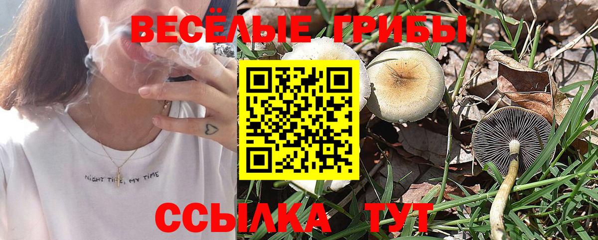 Галлюциногенные грибы GOLDEN TEACHER  Галлюциногенные грибы MAGIC MUSHROOMS  Вход с VPN  магазин продажи   Людиново 