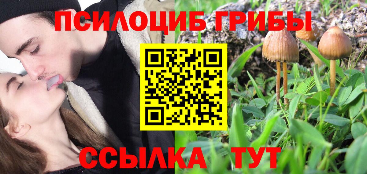 Галлюциногенные грибы Cubensis Людиново